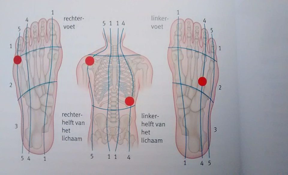 zones