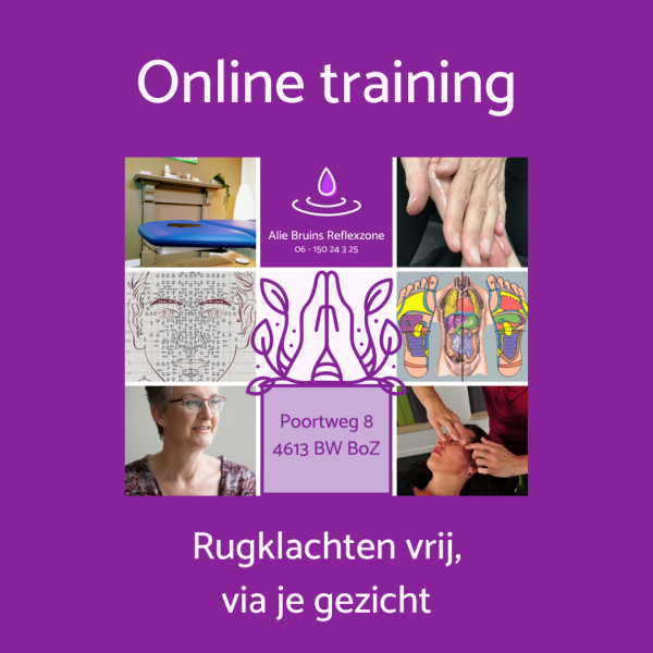 Online Training Rugklachten vrij